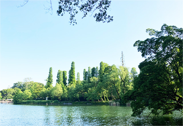 井の頭公園